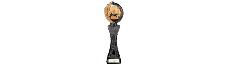 RENEGADE 2 TOWER MARTIAL ARTS LEGEND TROPHY - 4 SIZES - 25CM - 33.5CM RENEGADE 2 TOWER MARTIAL ARTS LEGEND TROPHY - 4 SIZES - 25CM - 33.5CM